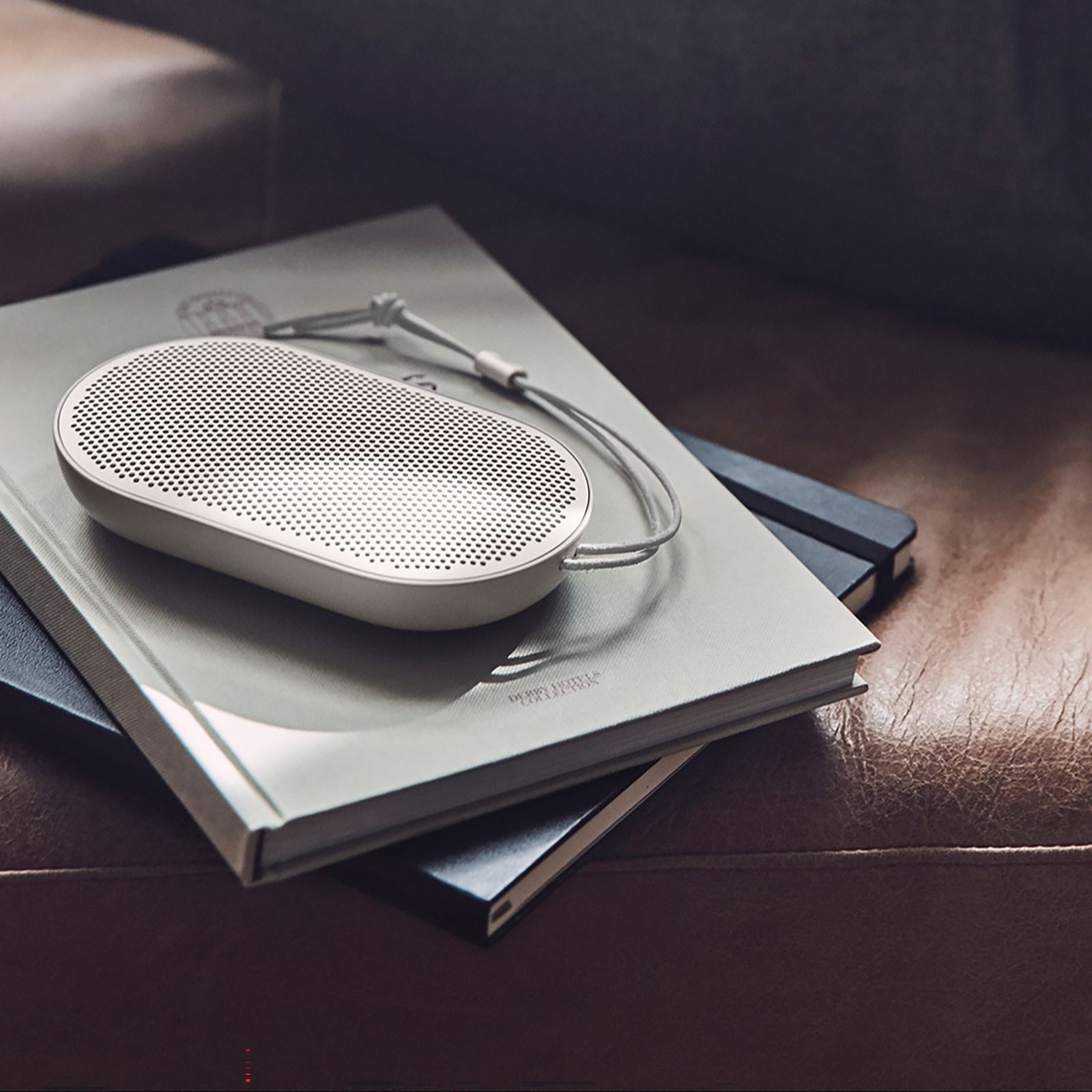 Buy Bang & Olufsen Beoplay P2 8W Portable Bluetooth Speaker (10